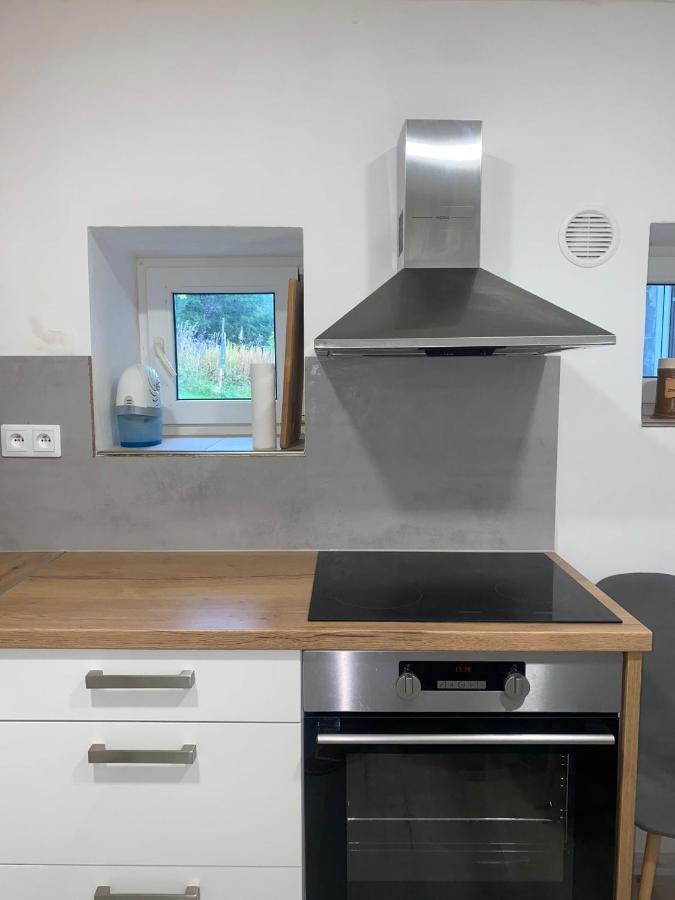 Apartman Pod Vlekem Horní Malá Úpa Extérieur photo